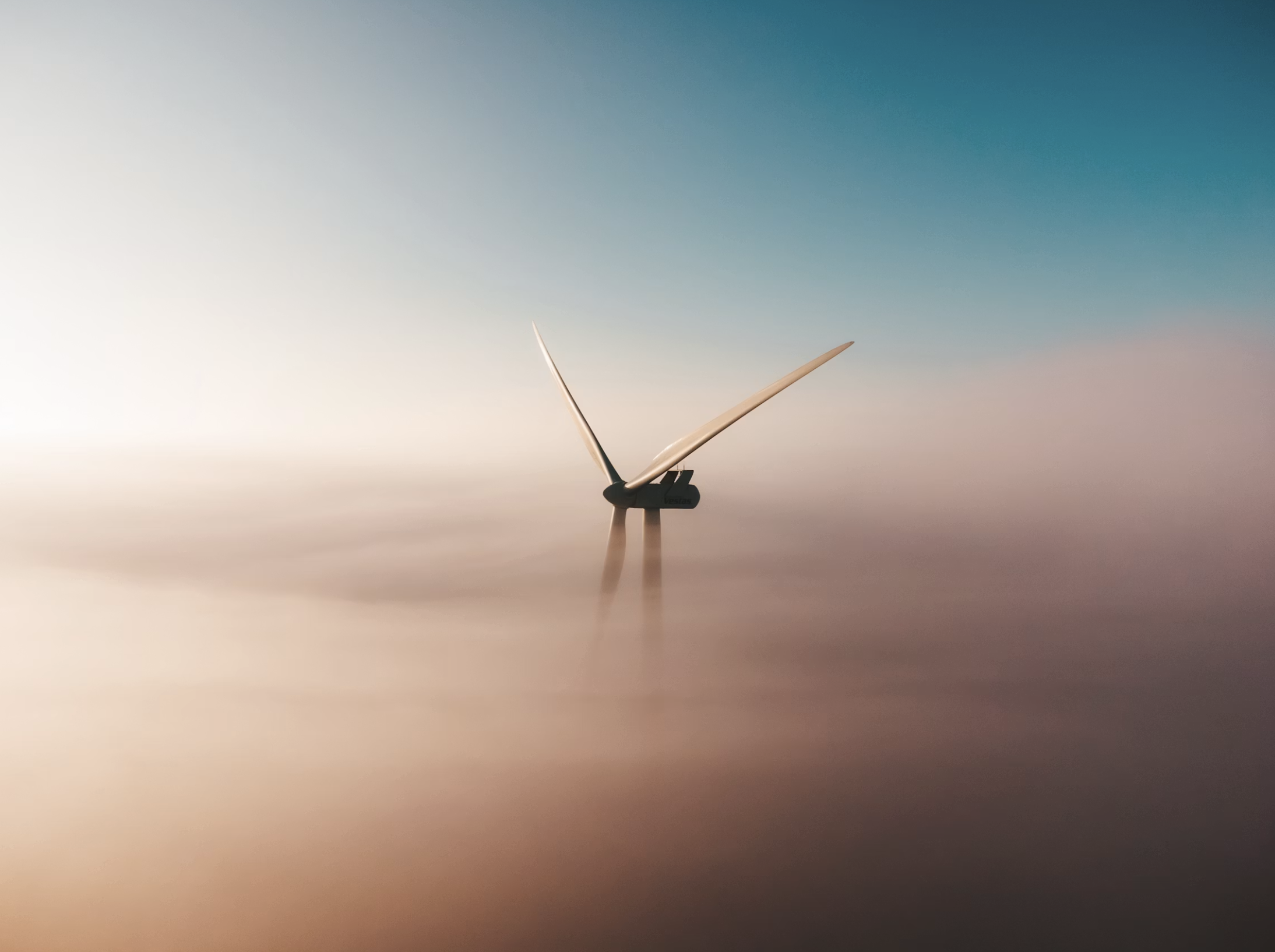 Future horizon — cinematic visual separator for the Longevity section.
